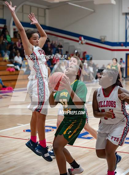 Thumbnail 3 in Pine Forest @ Terry Sanford photogallery.