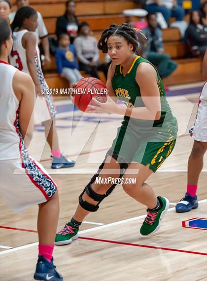 Thumbnail 2 in Pine Forest @ Terry Sanford photogallery.