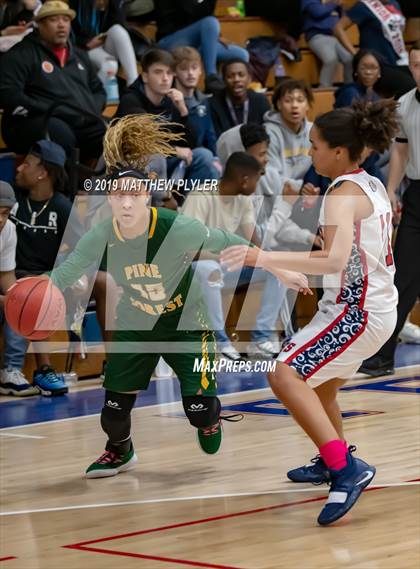Thumbnail 1 in Pine Forest @ Terry Sanford photogallery.