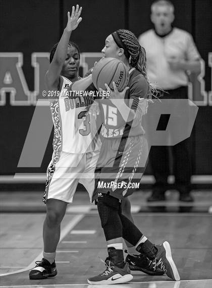 Thumbnail 3 in Pine Forest @ Terry Sanford photogallery.