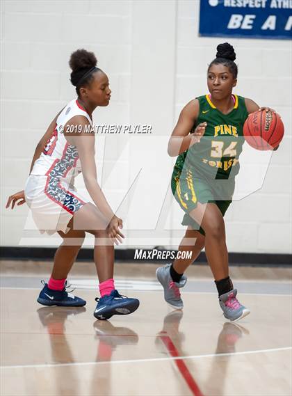 Thumbnail 2 in Pine Forest @ Terry Sanford photogallery.