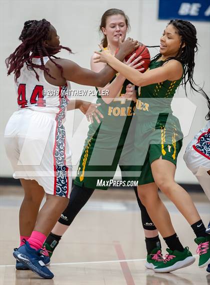 Thumbnail 2 in Pine Forest @ Terry Sanford photogallery.