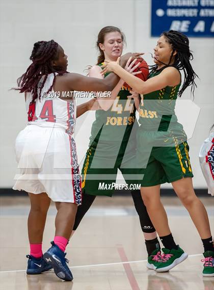 Thumbnail 3 in Pine Forest @ Terry Sanford photogallery.
