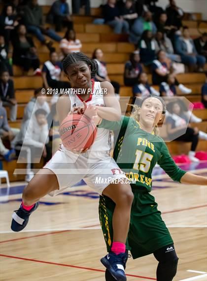 Thumbnail 2 in Pine Forest @ Terry Sanford photogallery.