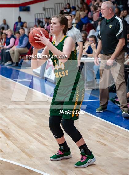 Thumbnail 1 in Pine Forest @ Terry Sanford photogallery.