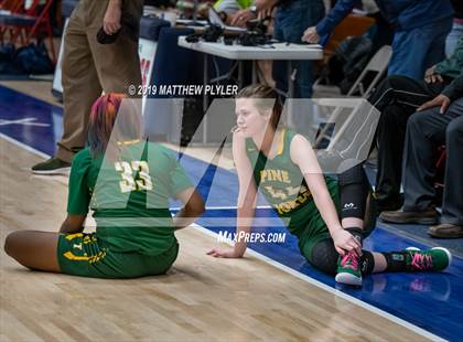 Thumbnail 3 in Pine Forest @ Terry Sanford photogallery.