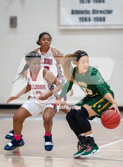 Thumbnail 3 in Pine Forest @ Terry Sanford photogallery.