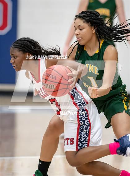 Thumbnail 3 in Pine Forest @ Terry Sanford photogallery.