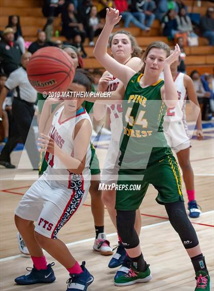 Thumbnail 1 in Pine Forest @ Terry Sanford photogallery.