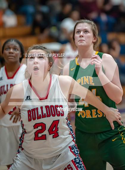 Thumbnail 3 in Pine Forest @ Terry Sanford photogallery.