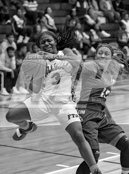 Thumbnail 2 in Pine Forest @ Terry Sanford photogallery.