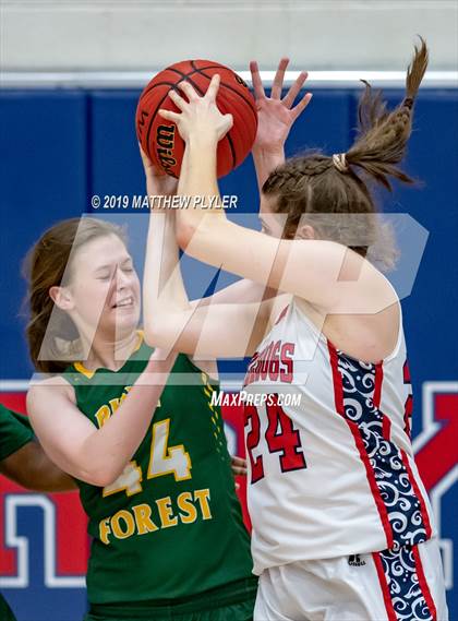 Thumbnail 3 in Pine Forest @ Terry Sanford photogallery.