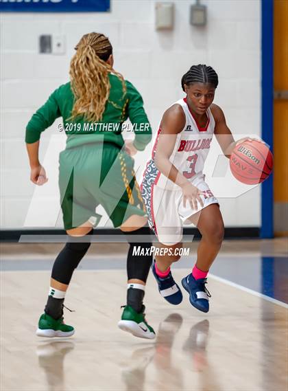 Thumbnail 3 in Pine Forest @ Terry Sanford photogallery.