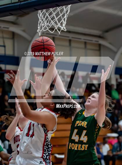 Thumbnail 2 in Pine Forest @ Terry Sanford photogallery.