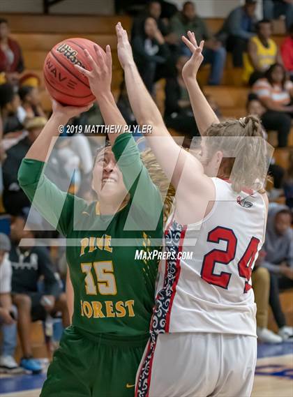 Thumbnail 3 in Pine Forest @ Terry Sanford photogallery.