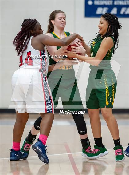 Thumbnail 2 in Pine Forest @ Terry Sanford photogallery.