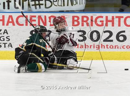 Thumbnail 3 in Williamsville North @ St. Joseph's Collegiate Institute photogallery.