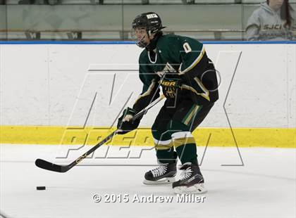 Thumbnail 3 in Williamsville North @ St. Joseph's Collegiate Institute photogallery.