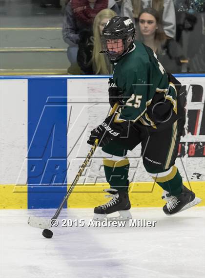 Thumbnail 1 in Williamsville North @ St. Joseph's Collegiate Institute photogallery.