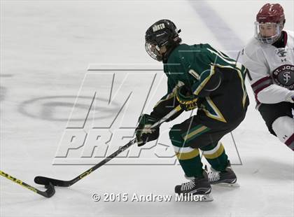 Thumbnail 2 in Williamsville North @ St. Joseph's Collegiate Institute photogallery.