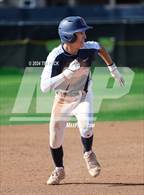 Photo from the gallery "Cypress @ Pacifica"