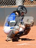 Photo from the gallery "Xavier College Prep vs Willow Canyon (Sunrise Mountain Tournament)"
