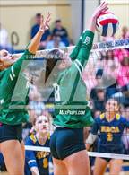 Photo from the gallery "Charlotte Country Day School vs North Raleigh Christian Academy (NCISAA 4A Final)"