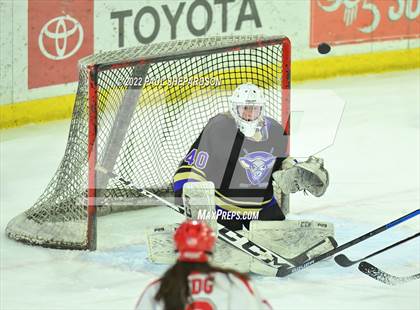 Thumbnail 1 in Regis Jesuit vs. Fort Collins (CHSAA 5A State Quarterfinal Game) photogallery.