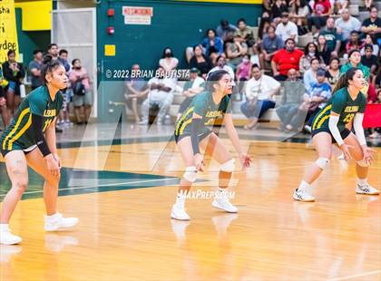 Thumbnail 1 in Mililani @ Leilehua photogallery.