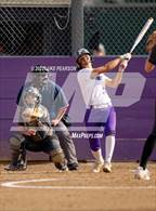 Photo from the gallery "Roseville @ Franklin"