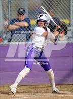 Photo from the gallery "Roseville @ Franklin"