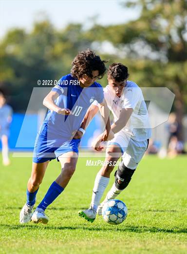 null - Photo 11