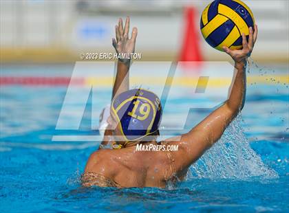 Thumbnail 1 in Crespi @ El Segundo photogallery.