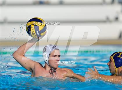 Thumbnail 2 in Crespi @ El Segundo photogallery.
