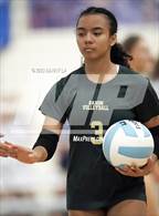 Photo from the gallery "Langley @ Yorktown"