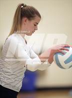 Photo from the gallery "Langley @ Yorktown"