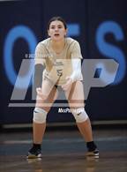 Photo from the gallery "Langley @ Yorktown"