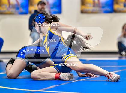 Thumbnail 2 in Diamond Ranch @ Charter Oak photogallery.