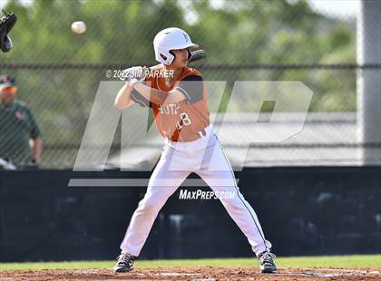 Thumbnail 2 in Hutto @ Vandegrift photogallery.