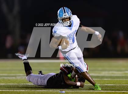 Thumbnail 1 in Newsome @ Bloomingdale photogallery.
