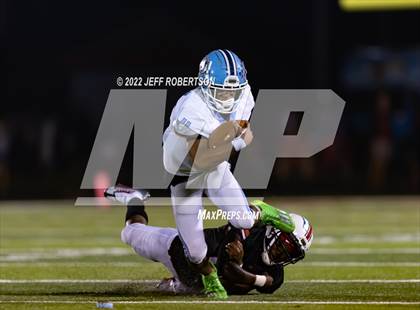 Thumbnail 2 in Newsome @ Bloomingdale photogallery.