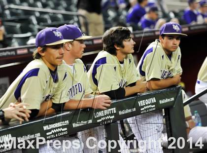 Thumbnail 2 in Cactus Shadows @ Notre Dame Prep photogallery.