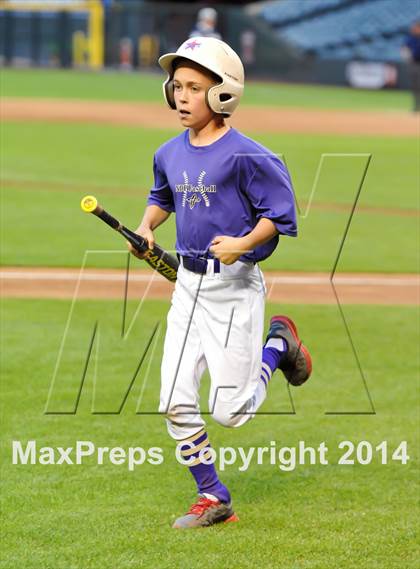 Thumbnail 1 in Cactus Shadows @ Notre Dame Prep photogallery.