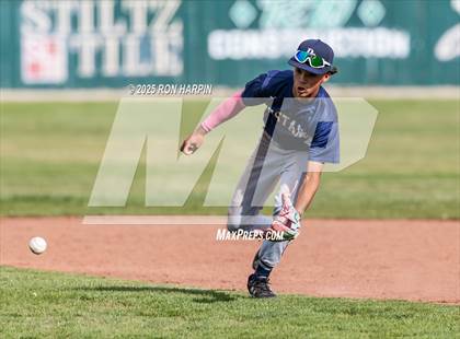 Thumbnail 2 in Damonte Ranch @ Douglas photogallery.