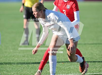 Thumbnail 1 in Bountiful vs. Springville (UHSAA 5A Semi Final) photogallery.