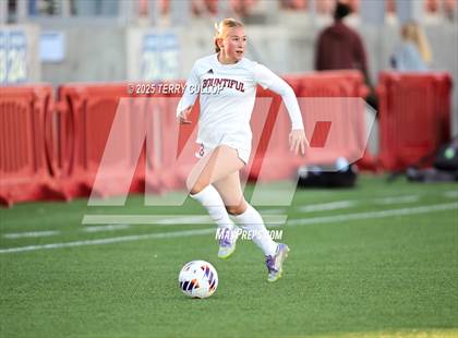 Thumbnail 3 in Bountiful vs. Springville (UHSAA 5A Semi Final) photogallery.