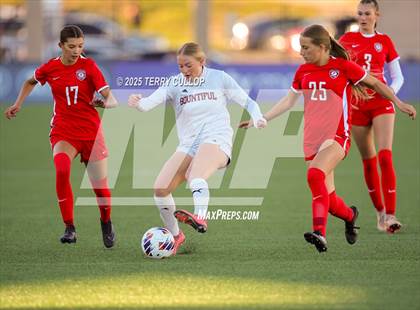 Thumbnail 3 in Bountiful vs. Springville (UHSAA 5A Semi Final) photogallery.