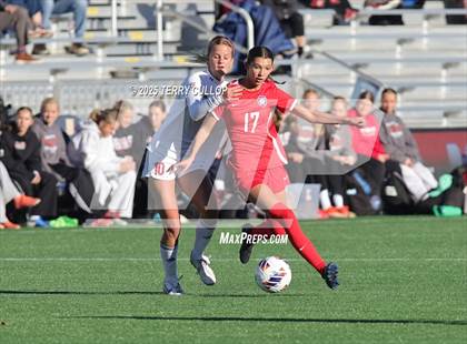 Thumbnail 3 in Bountiful vs. Springville (UHSAA 5A Semi Final) photogallery.