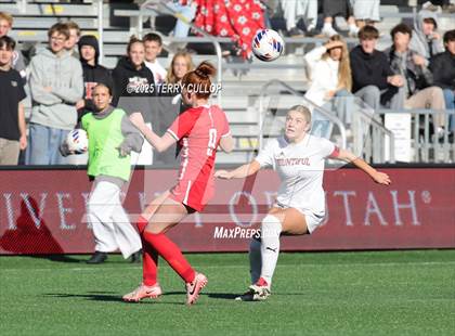 Thumbnail 3 in Bountiful vs. Springville (UHSAA 5A Semi Final) photogallery.