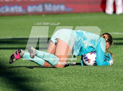 Thumbnail 1 in Bountiful vs. Springville (UHSAA 5A Semi Final) photogallery.